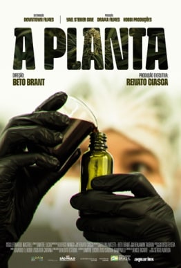 A PLANTA