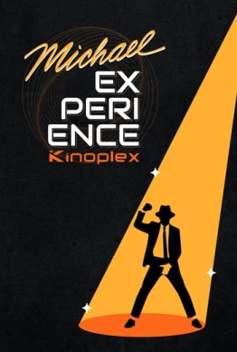 MICHAEL - MICHAEL EXPERIENCE
