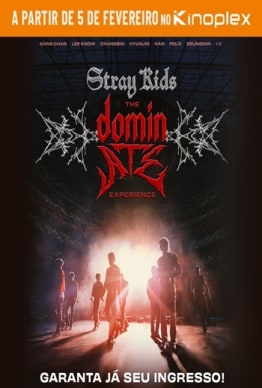 STRAY KIDS - THE DOMINATE EXPERIENCE